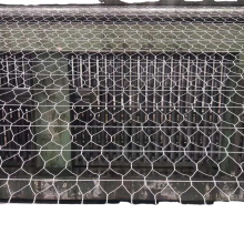 Galvanized Hexagonal Wire Mesh /Chicken Hexagonal Cages